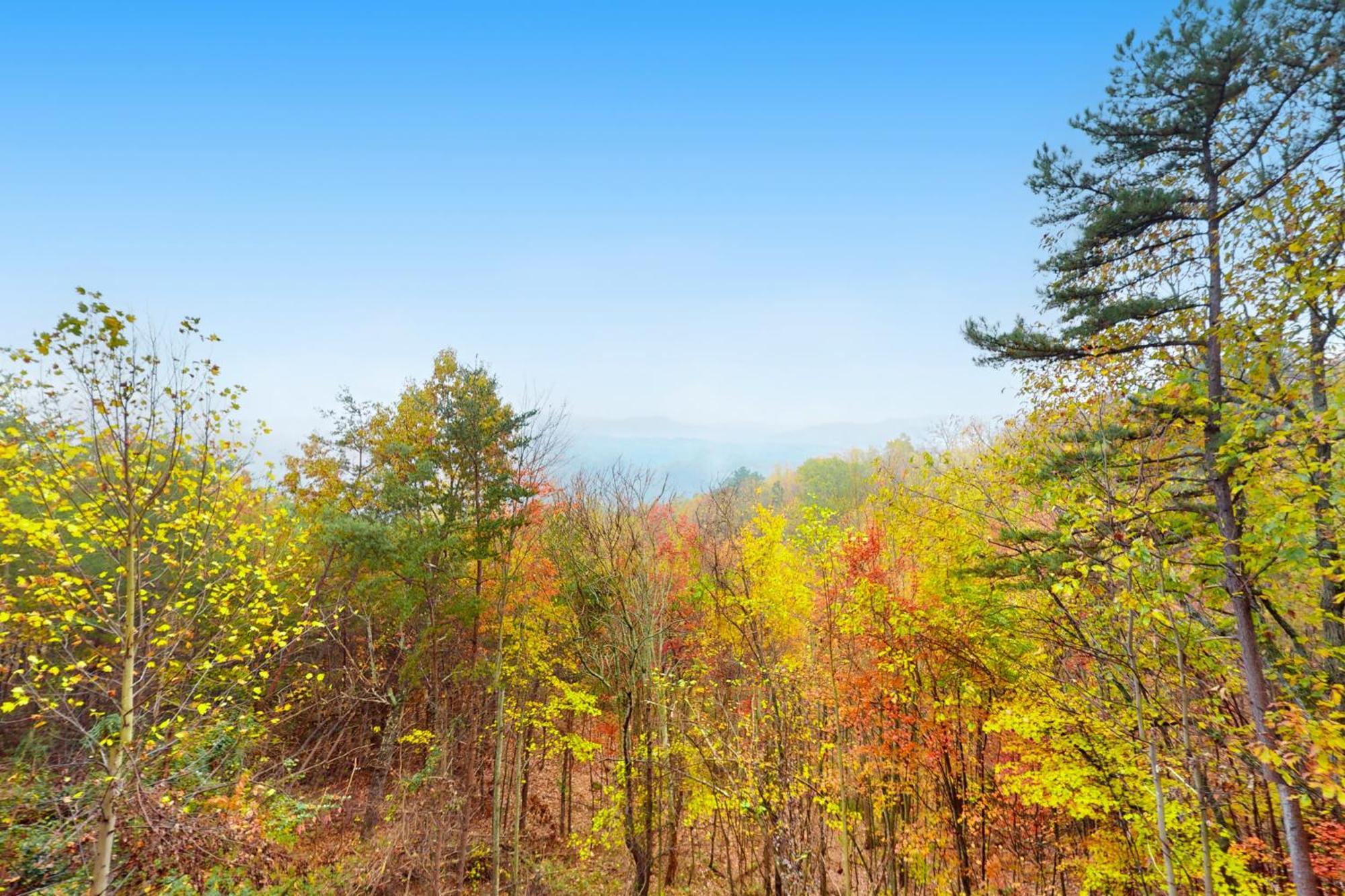 Paradise Views 세비어빌 외부 사진